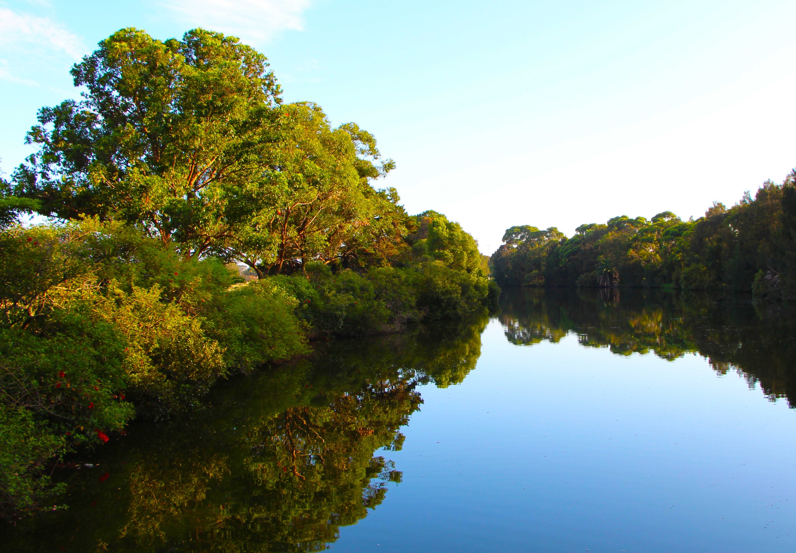 CLOSED - Draft Scarborough Park Masterplan | Have Your Say Bayside