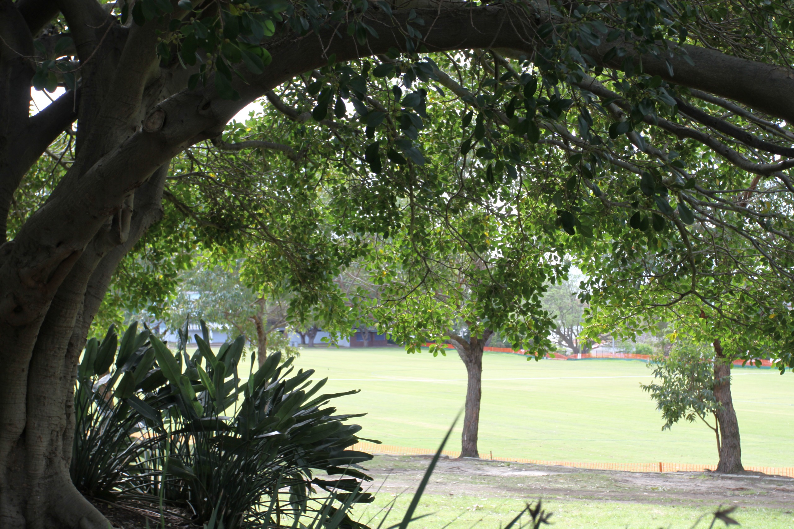 Improvements and future works at Gardiner Park Have Your Say Bayside