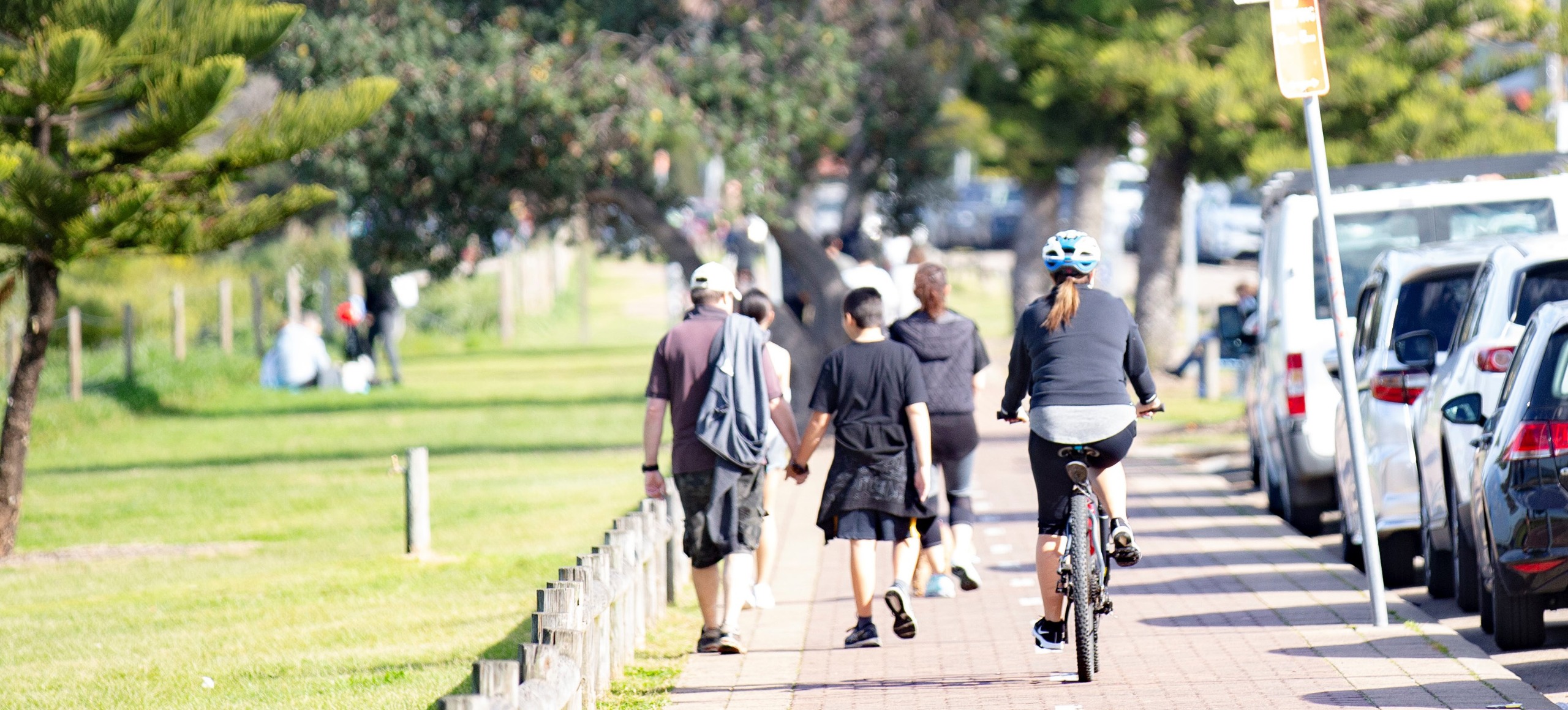 CLOSED - Draft Mascot to Eastlakes Active Transport Corridor | Have ...